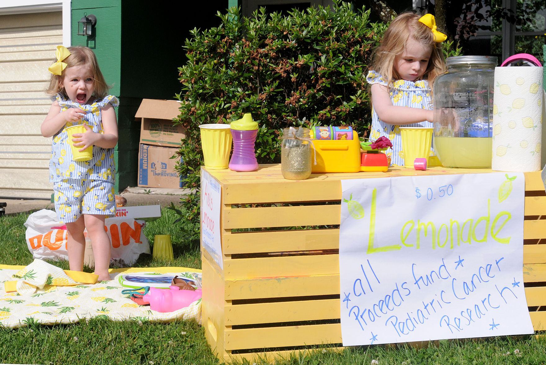 Lemonade Stand 787.jpg